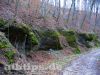 In der Felsschlucht bei Hundersingen (Kernzone)