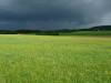 Abziehendes Gewitter und leuchtende Wiesen