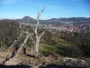 Unterhalb des Georgenbergs mit Blick auf die Achalm