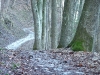 Hauptwanderweg 5 hinauf zur Wanne