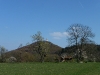 Blick zum Roßberg mit Aussichtsturm