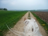 Wind und Frühlingsregen