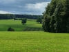 Blick über die sommerliche Alb