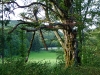 Im Naturschutzgebiet Gereuthau