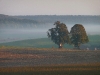 Nebel und Morgensonne bei Sontheim