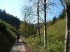 Steile Hänge der Wacholderheide