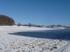 Zwischen Waldstücken bei Apfelstetten