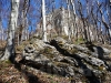 Ruine Rosenstein von unten