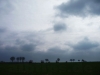 Baumreihe unter Wolken