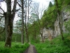 Bequemes Wegstück in der Wutachschlucht