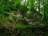 Felsen im Wald