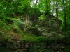 Felsen im Wald