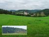 Blick auf Veringenstadt im Laucherttal, Begegnung mit Straussen