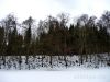 Schnee im Tal