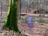 Auf dem HW5 an der Kreuzung mit der Hohlichterrainstraße