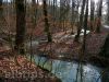 Beim verfallenen Kneippbecken am Breitenbach