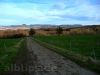 Blick zurück oberhalb vom Hofgut Alteburg