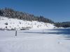 Wacholderheide im Schandental