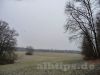 Freifläche von Wald umgeben