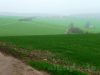 Nieselregen über der Albhochfläche bei Hengen