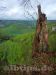 Blick zur Ruine Hohenurach