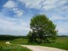 Der Schäferweg bei Pfronstetten