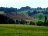 Dolderkopf zwischen Steingebronn und Marbach