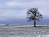 Winterliche Stille