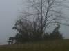 1. November 2013 - Nebel am Beutenlay