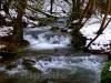 Viel Wasser im Brühlbach