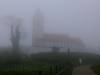 Die Bussenkirche im Nebel