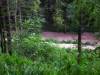 Nach einer Stunde heftigem Gewitter und Regen ist der Weg im Tal weggespült. Es knackt kurz und ein Baum weniger steht da.