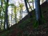 Wanderpfad hinauf zur "Ruine" Andeck