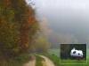 Bunter Waldrand im Nebel, Kuhflecken