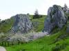Felsen im Eselsburger Tal