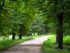 Weg in den Wildpark Duttenstein