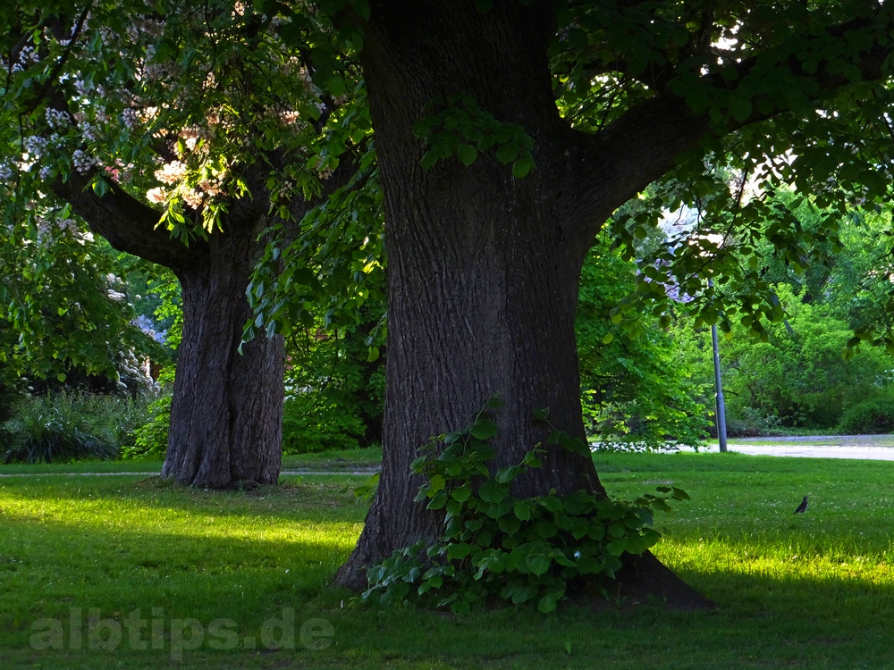 Pomologie und volkspark reutlingen (streuobstzentrum eduard lucas ... Küche braun reutlingen