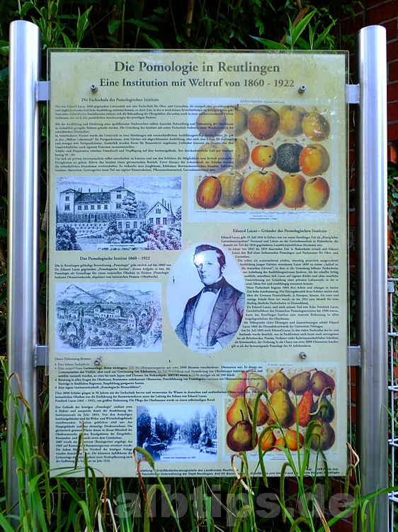 Pomologie und volkspark reutlingen (streuobstzentrum eduard lucas ... Küche braun reutlingen