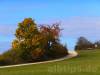 Herbstfarben und blauer Himmel