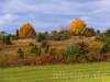 Goldener Oktober am Hungerberg