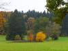 Naturschutzgebiet Irndorfer Hardt