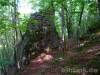 Ruine Ringelstein