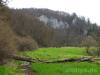 Blick zur Ruine Wartstein