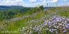 Blaues Meer vor blauer Mauer