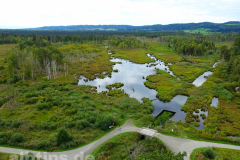 Blick über das Pfrunger-Burgweiler Ried