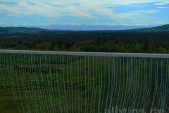 Blick vom Bannwaldturm Richtung Pfrunger-Burgweiler Ried und Alpen