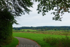 Weg zurück am Waldrand
