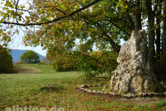 Boley-Denkmal auf der Wanne Boley-Denkmal auf der Wanne