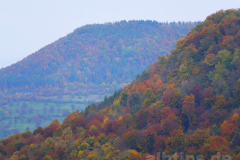 Bunter Albtrauf Bunter Albtrauf