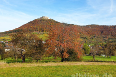 Goldener Oktober am Lettenberg bei Neuffen Goldener Oktober am Lettenberg bei Neuffen